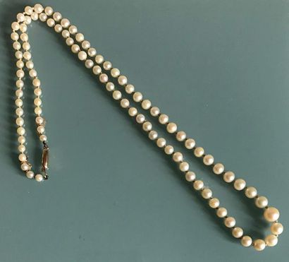 null Falling cultured pearl necklace. Clasp in gold-plated metal.