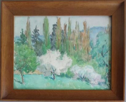 null School MODERN
Landscape with big trees
Watercolour
Signed lower left (illegible)
24...