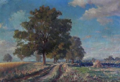 null Pierre BONNEROT (1891-1981) Country
lane lined with trees
Oil on canvas
Signed...