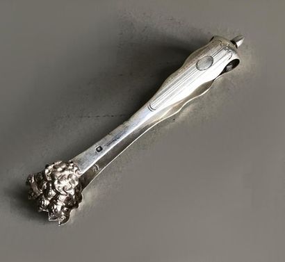 null Beautiful silver sugar tongs finished with lion claws. Pine cone grip. Louis...