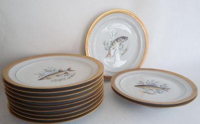 null LIMOGES 
Douze assiettes à poisson en porcelaine à décor polychrome de poissons...