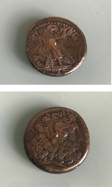 null Drachme en bronze période Ptolémaïque représentant sur l'avers une tête de Zeus...