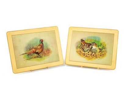 EBBELS MAISON EBBELS
Set of 6 lacquered cardboard placemats with birds
19 x 24,5...