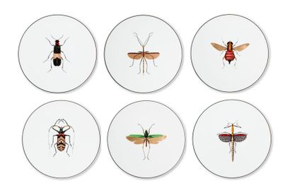 null ANIMAL FABULEUX - Collection HISTOIRE NATURELLE Les Insectes
Six assiettes à...