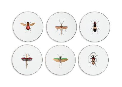 null ANIMAL FABULEUX - Collection HISTOIRE NATURELLE Les Insectes
Six assiettes à...