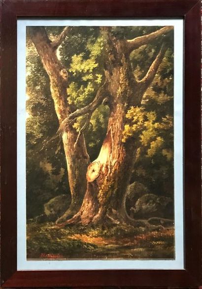 null ECOLE FRANCAISE du XIXe siècle
Chêne en forêt
Dessin à l'aquarelle
Signé en...
