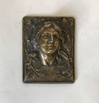 null Patinated bronze plaque representing a woman's profile in the Art Nouveau style....