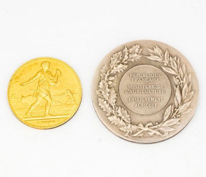 null 2 metal award medals