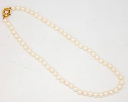 null Necklace of schoker pearls, 14 kt yellow gold clasp.