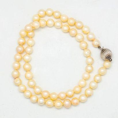 null Cultured pearl necklace