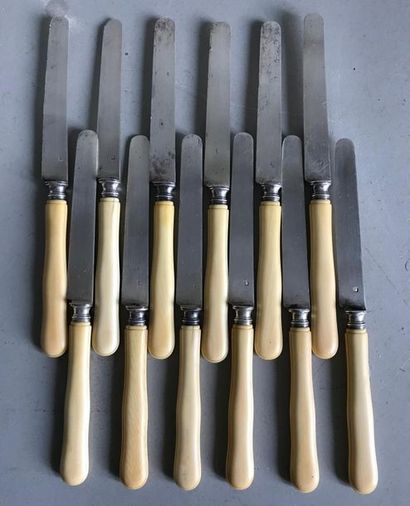 null Set of 12 fruit knives with moulded ivory handle and silver blade (Minerva)....