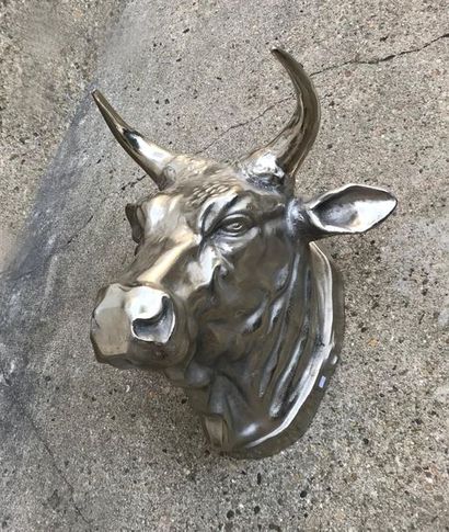 null Large bull head in chromed metal Contemporary

work H. 60 - W. 70 - D. 52 cm...