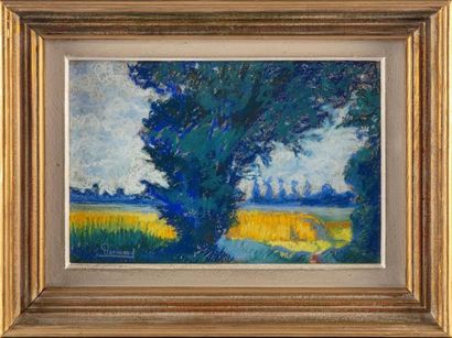 null FRENCH SCHOOL XXth
Landscape
Pair of pastels
Framed
21.5 x 31.5 cm and 17.5...