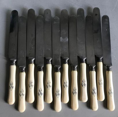null Suite of twelve knives with steel blade and moulded ivory handle. Encrypted....