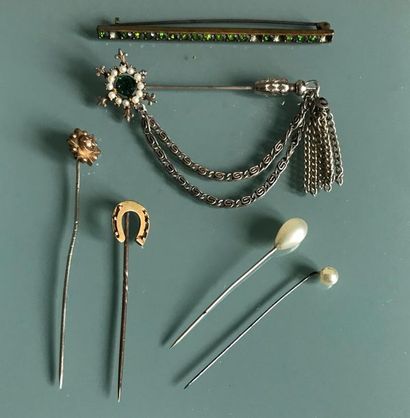 Set of tie pins and fancy brooches.