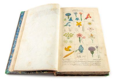 null CHAUMETON (F. P.). Flore médicale peinte par Mme E. P. et par P. J ; F. Turpin....