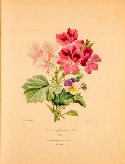 REDOUTE REDOUTÉ (Pierre-Joseph). Douze bouquets dessinés et composés par P. J. Redouté,...