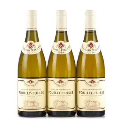 null 3 bottles POUILLY FUISSE 2014 Domaine Bouchard père & fils