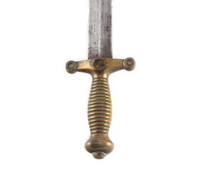 null Sword reduction, model 1831, without scabbard