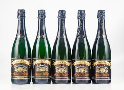 9 bottles LOUIS WALTER Crémant d'Alsace