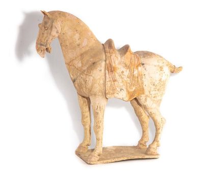 CHINE CHINE - Epoque TANG (618-907)
Importante statuette de cheval à l'arrêt en terre...