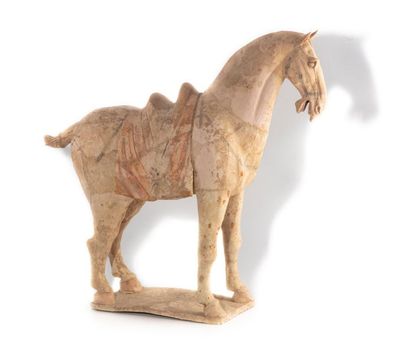 CHINE CHINA - TANG Period (618-907)
Important statuette of a horse standing on a...