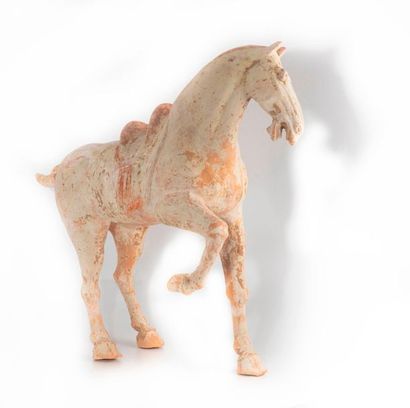 CHINE - TANG CHINA - TANG Era (618-907)
Horse standing in terracotta with traces...