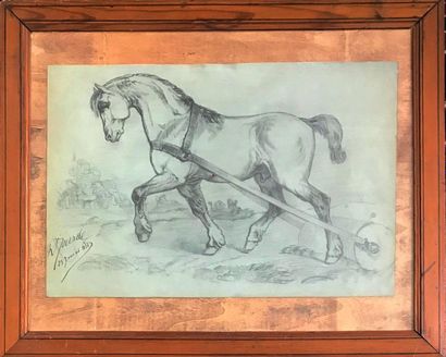 null R. MOURDE, fin XIXe
Portrait de cheval à l'entrainement
Dessin au crayon
Signé...