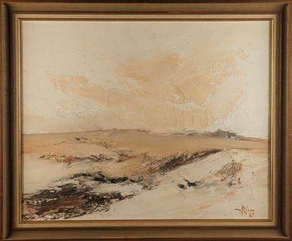 null MARION - XXth
Dune landscape
Oil on canvas
Signed lower right and dated 69
65...