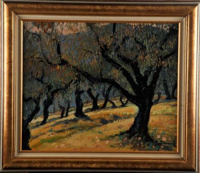 null BENARD - XXth
Oliviers de Provence
Oil on canvas
Signed lower right 
54 x 65...