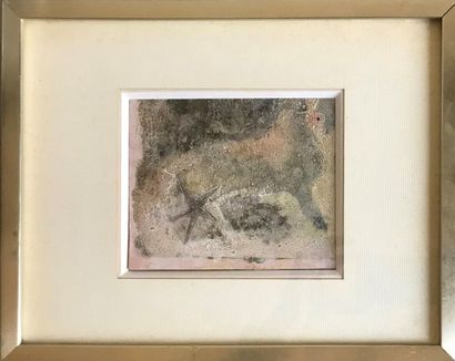 CATOLO CATOLO - XXth
Starfish 
Oil drawing (?) on paper 
Unsigned
12,5 x 14,5 cm...
