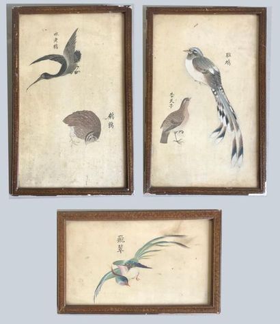 null CHINA - 17th century style
Birds 
Set of three coloured drawings on fabric
Ideogram...