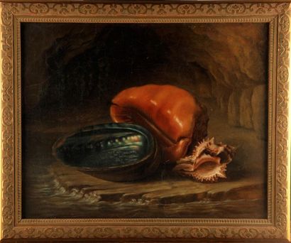null FRENCH SCHOOL from the end of the 19th century
Still life with shells
Oil on...