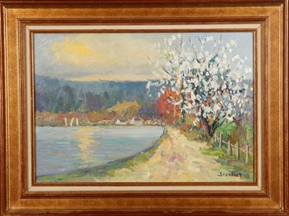null Christiane STENFORT - XXth
Landscape sunset
Oil on canvas
Signed lower right
36...