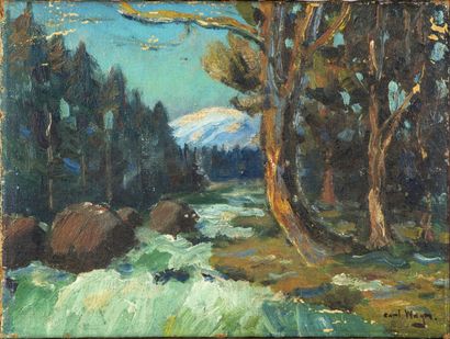 WAGNER Karl WAGNER, 19th-20th century

Torren landscape

Oil on canvas

Signed lower...