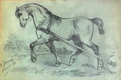 R. MOURDE R. MOURDE, late 19th century

Portrait of a Horse in Training

Pencil drawing...