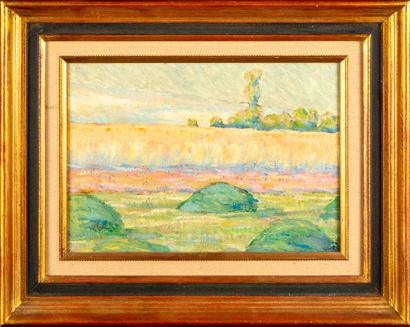 ECOLE FRANCAISE French school of the 20th century

Pair of landscapes

Oil on canvas

18...