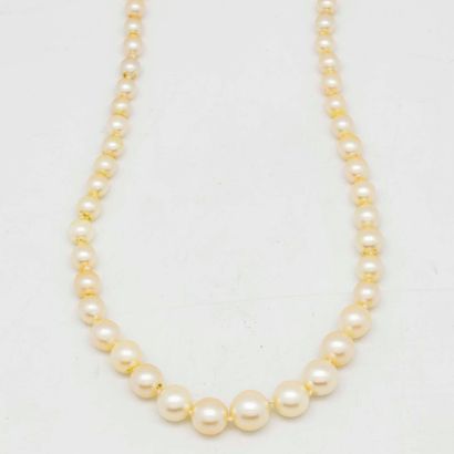 Necklace of cultured pearls in fall, clasp...
