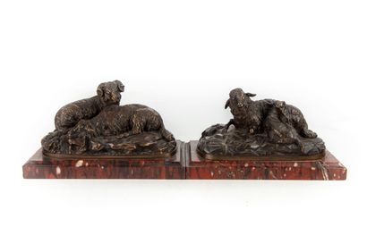 BUCI BUCI (19th century)

The ewe and the lamb

The ram and the ewe 

Pair of bronze...