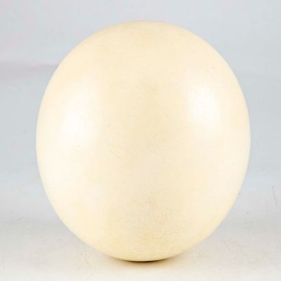 null Ostrich egg 

H. 15 cm