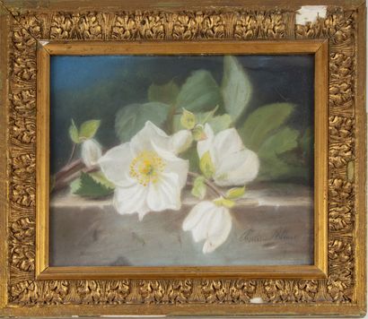 ALLAIN Pauline ALLAIN ( Active in Paris in the 19th century)

The anemones

Pastel,...