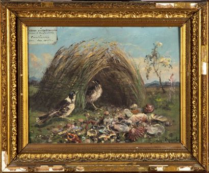 PEZANT Aymard PEZANT (1846-1916)

For the BOERS, The Collector Bird (Australian Thrush),...