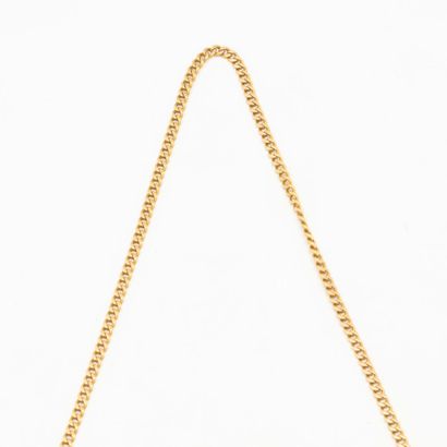 Yellow gold chain

Accidental

Weight : 17,2...