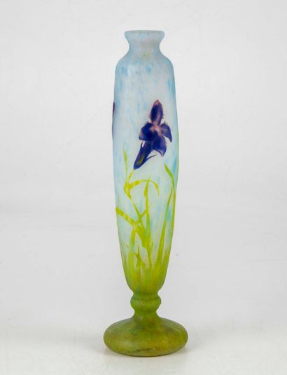 DAUM Nancy 
DAUM NANCY




Vase sur piédouche en verre multicouche à décor de gentianes...
