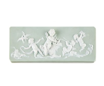 Wedgwood In the taste of WEDGWOOD

Rectangular porcelain biscuit plate with a white...
