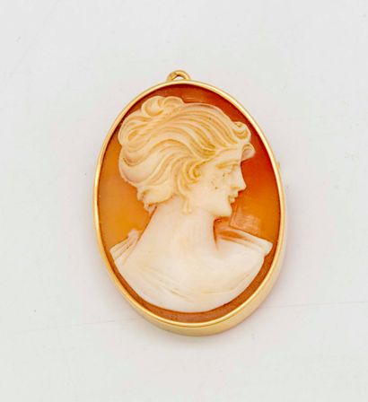 Cameo brooch with a profile of a woman in...