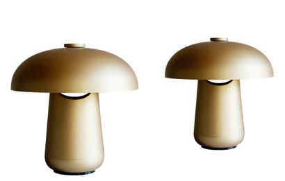 Jessica Corr Pair of small table lamps ONGO

Designer: Jessica Corr

Manufacturer:...