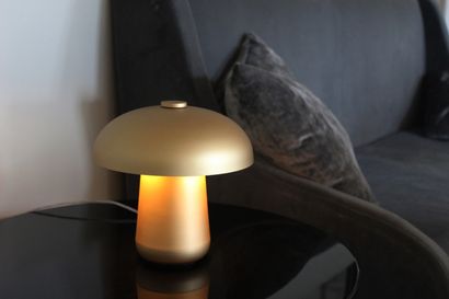 Jessica Corr 
ONGO table lamp




Designer: Jessica Corr




Manufacturer: Contardi




2W...