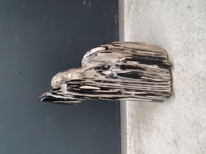 null Fossilized wood

H. 50 cm
