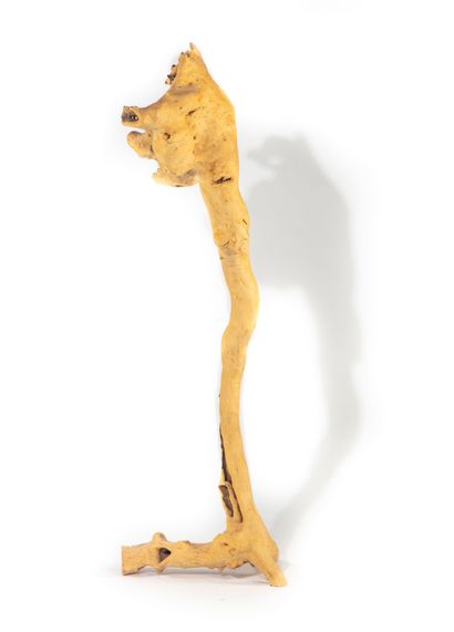 null Driftwood sculpture

H. Height : 134 cm